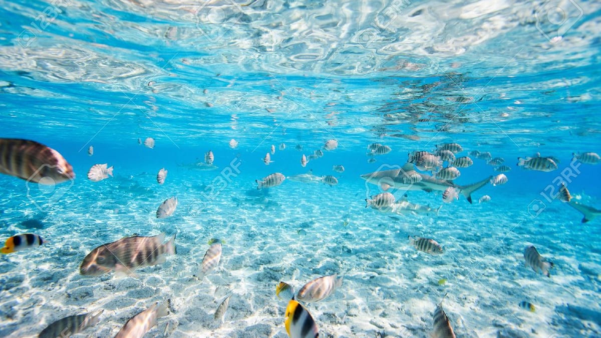 Bora Bora Lagoon Sea Views, Polynesia