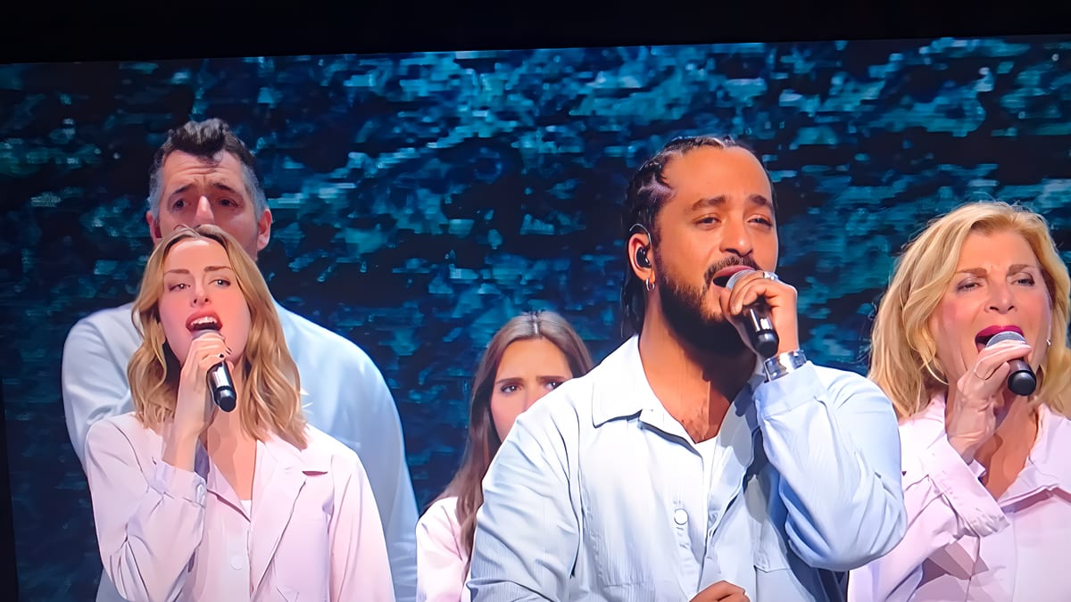 8,5 Millions de téléspectateurs pour les “Enfoirés 2024”. Une audience bien méritée !