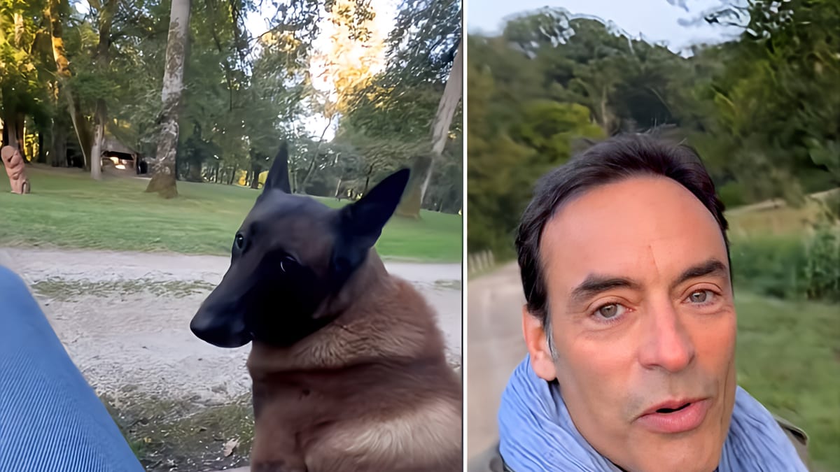 Anthony Delon poste une vidéo du chien de son père, Loubo, accompagné de la chanson “Free” de Robbie Williams.