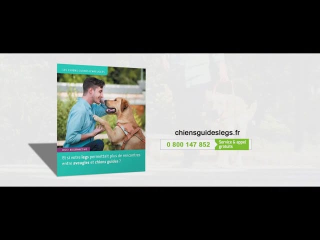 Pub Chiens Guides Legs 2019