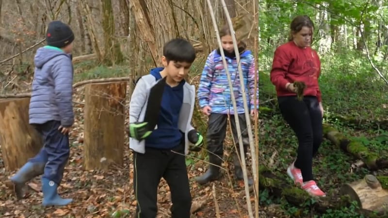 Dans le Doubs, chaque semaine les écoliers font la classe dans la forêt. Découvrez…en musique !