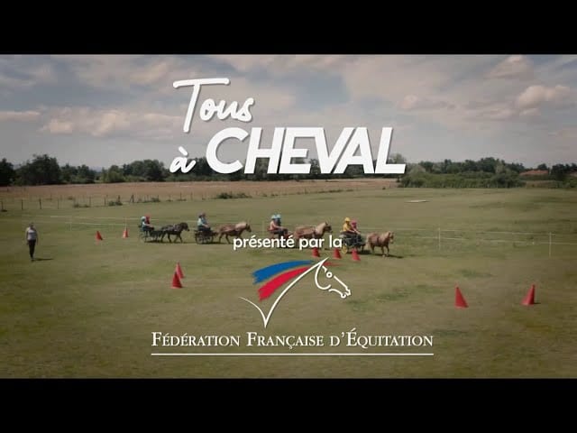 Musique de Pub FFE Fédération Française d’Équitation – attelage poney club 2020 – From Here to Hope – Liam Harris