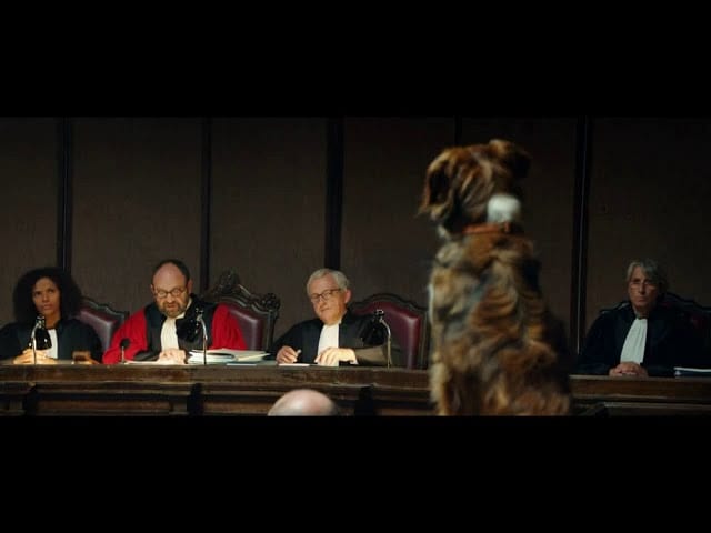 Pub Fondation 30 millions d’amis #nonalabandon septembre 2020