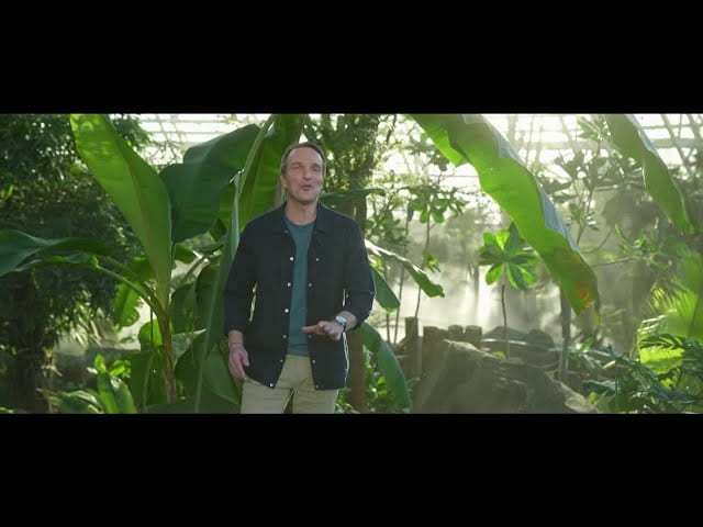 Pub Zoo de Beauval (Stéphane Rotenberg) octobre 2020