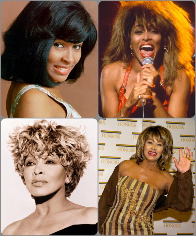Tina Turner (26/11/1939-24/05/2023) - 348872285 776329627478569 4050947395935235046 n 1