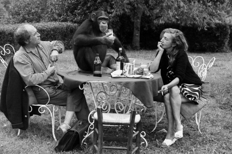 Léo Ferré avait une fille adoptive : son chimpanzé Pépée. - amoureux animaux leo ferre setait isole lot avecune menagerie singe pepee 0 1
