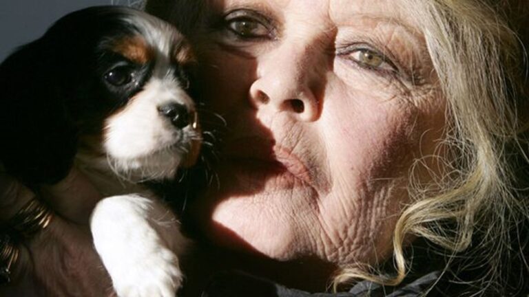 Bon anniversaire à Brigitte Bardot (89 ans). Revoyez ses scènes de danses au cinéma... - brigitte bardot