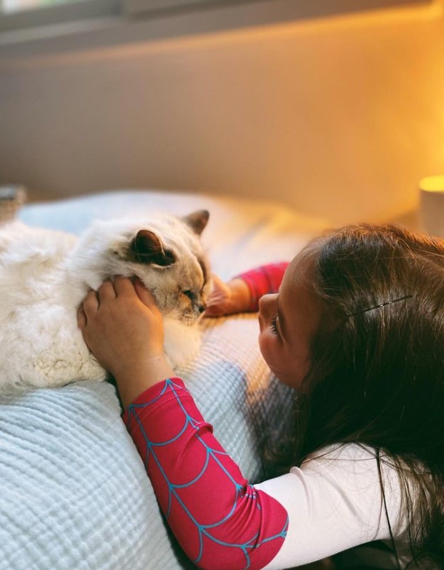 Alizée partage des photos touchantes de son chat adoré qui vient de mourir. - capture decran 2023 03 08 181952