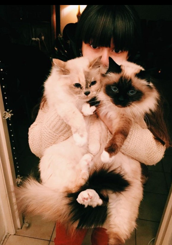 Alizée partage des photos touchantes de son chat adoré qui vient de mourir. - capture decran 2023 03 08 182007