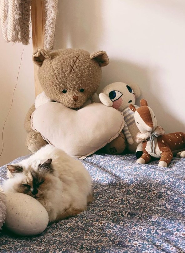 Alizée partage des photos touchantes de son chat adoré qui vient de mourir. - capture decran 2023 03 08 182117