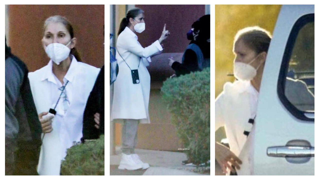 Des photos de Céline Dion rassurantes ou inquiétantes ?