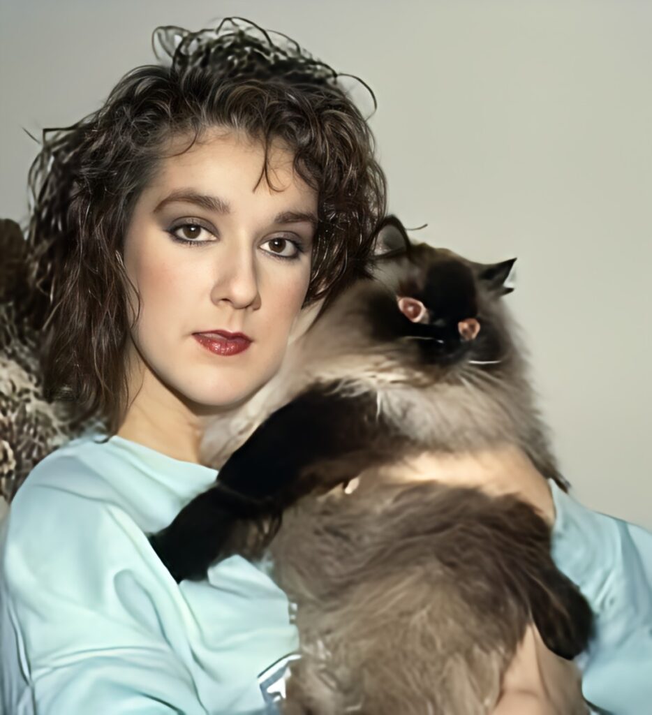 Singers who love cats also enjoyed posing with them. - Follow us