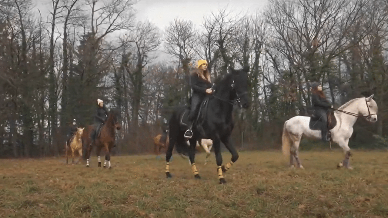 Jerusalema : Même les chevaux s&rsquo;y mettent !