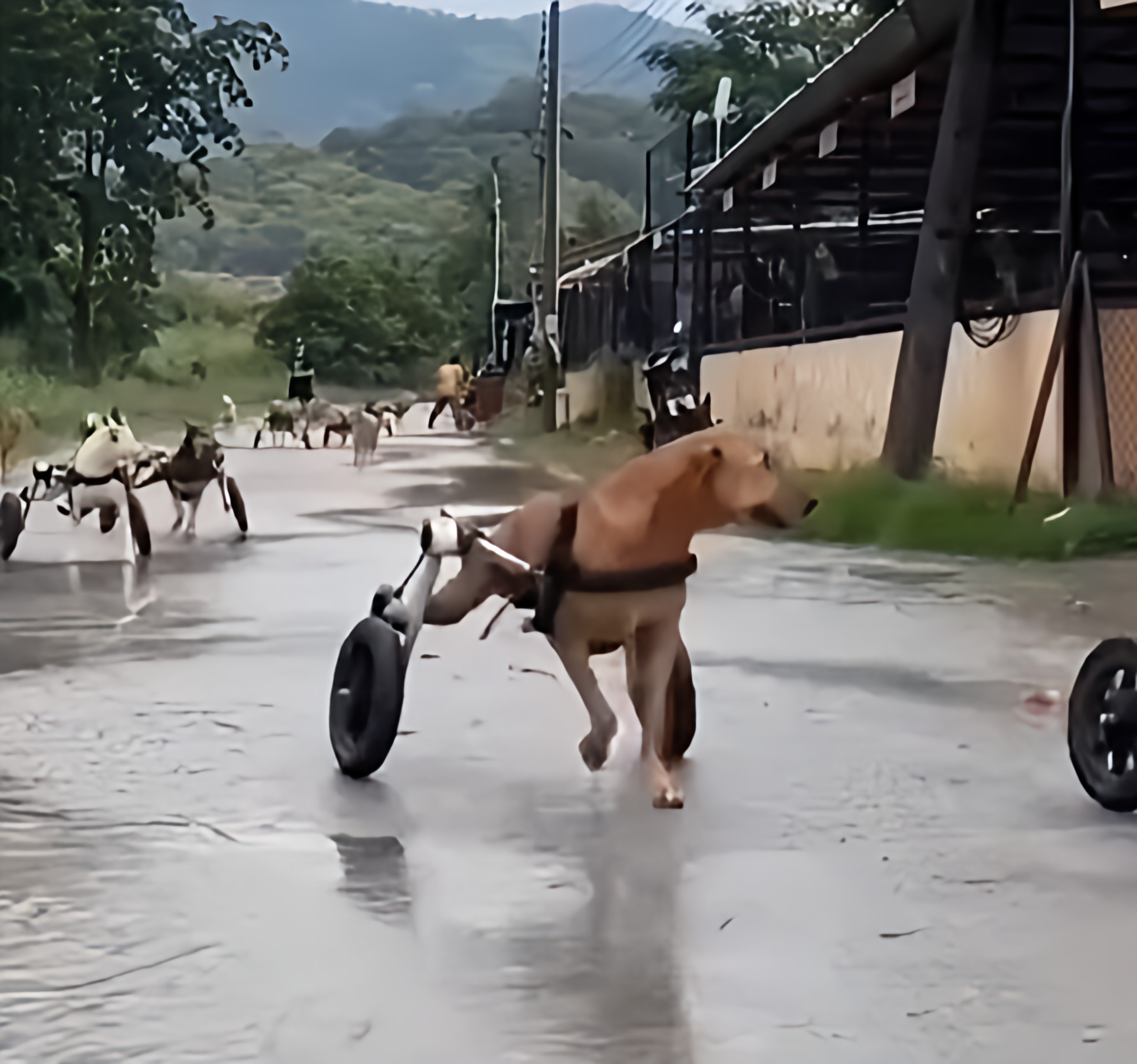 La plus belle vidéo de la journée