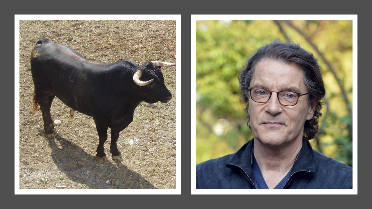 Francis Cabrel fête ses 69 ans pendant que l&rsquo;assemblée débat sur l&rsquo;abolition de la corrida