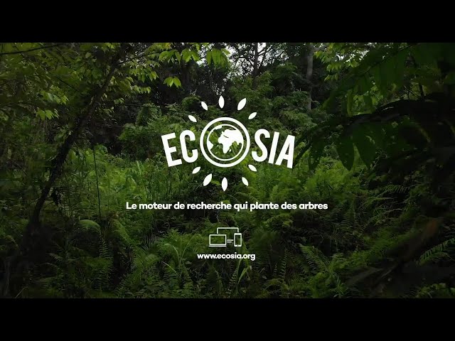 Pub Ecosia.org septembre 2020 - ecosiaorg