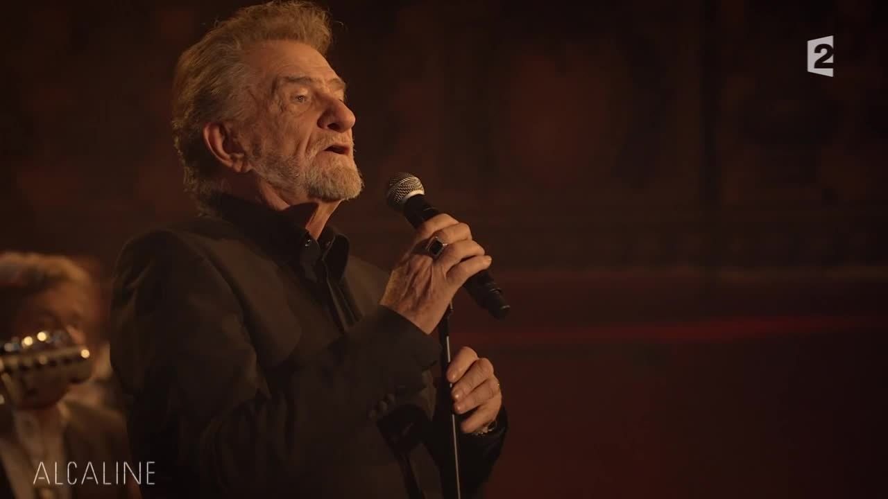 « Le cimetière des éléphants » Eddy Mitchell – Live 2015 –