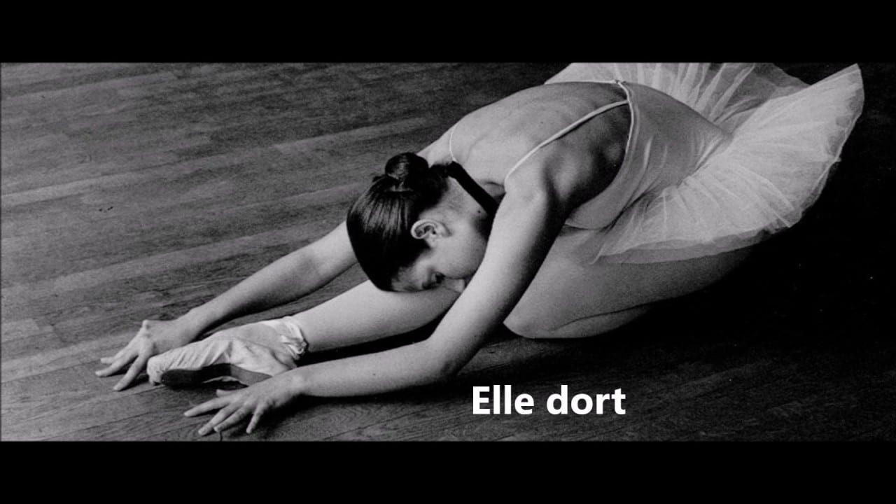 « Elle dort » Francis Cabrel.