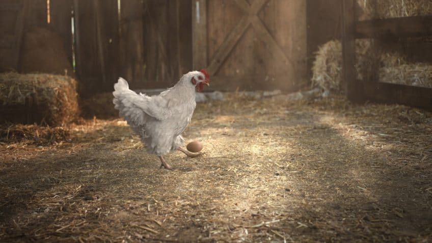 Pub KFC Poule qui jongle avec un œuf