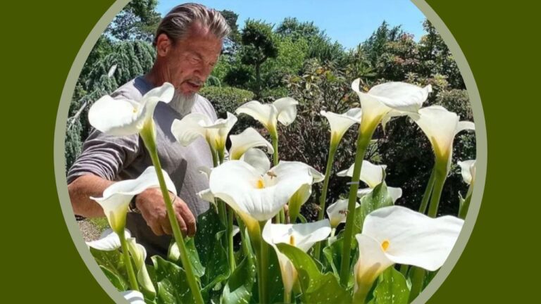 Bon anniversaire à Florent Pagny (61 ans). Il profite pleinement de la nature. - f pagn