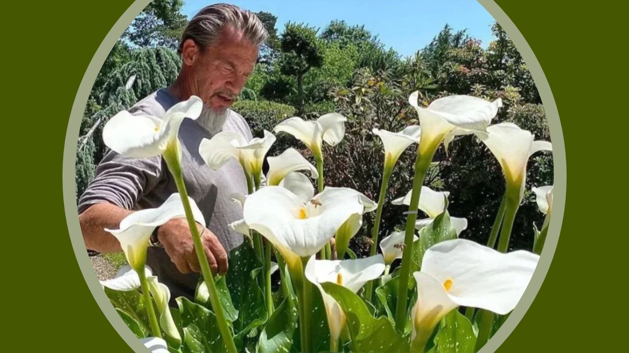 Bon anniversaire à Florent Pagny (61 ans). Il profite pleinement de la nature.