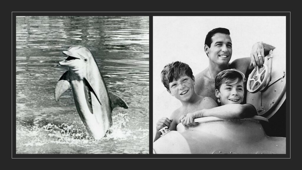 1966 : La série Flipper le dauphin enchantait les jeunes téléspectateurs de l'époque. Le générique... - flipper 2