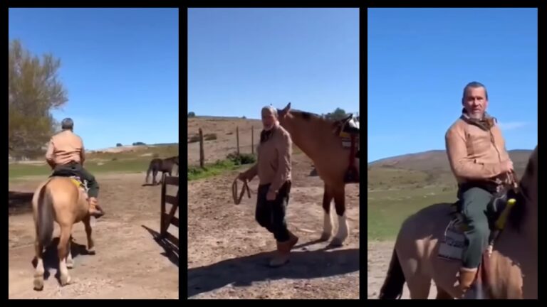 Une vidéo de Florent Pagny en pleine convalescence avec ses chevaux sous le soleil de Patagonie. - florent pagny 2 2