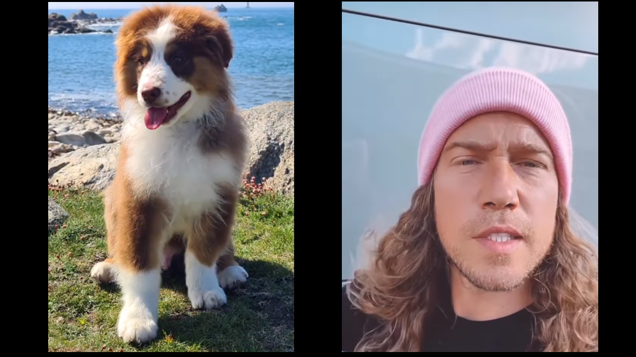 Julien Doré pousse un gros coup de gueule pour soutenir la maitresse d&rsquo;un chien volé. « Des gros… »