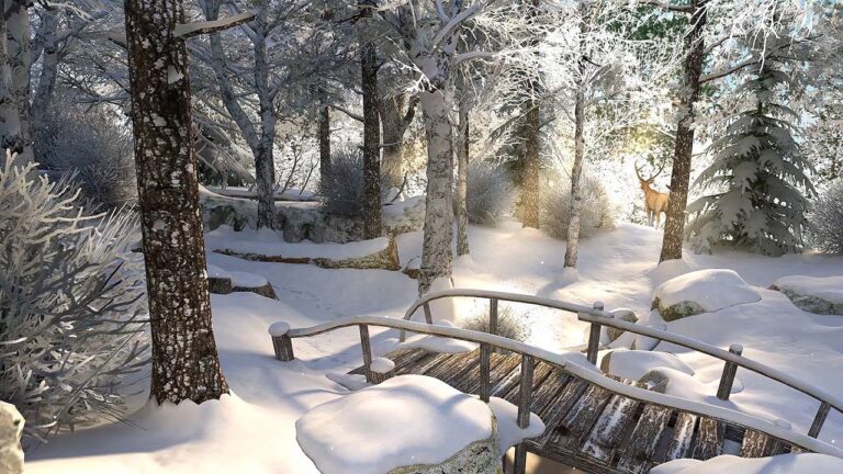 - Plaisirs de décembre - Promenade en forêt - foret