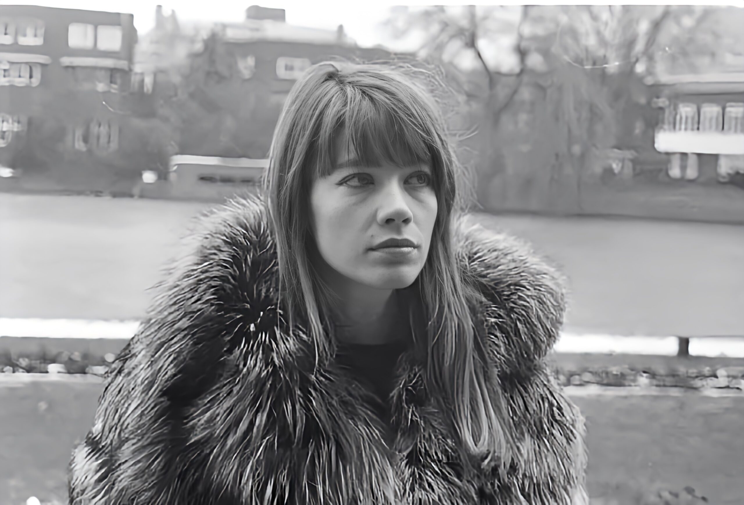 Françoise Hardy, icône sixties…