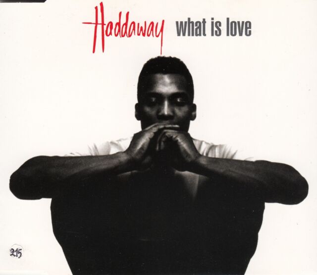 Souvenir 1993 : Haddaway - What is Love. Un tube intemporel. - haddaway