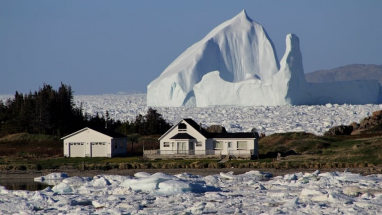 Voyage en musique : Twillingate et ses monuments de glace cathédrales... - iceberg