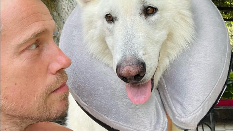 Les retrouvailles émouvantes de Julien Doré avec son chien Jean-Marc après une grosse opération. - jean marc et julien dore 1