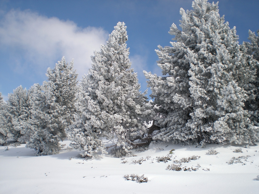 Karaoke Vive le vent