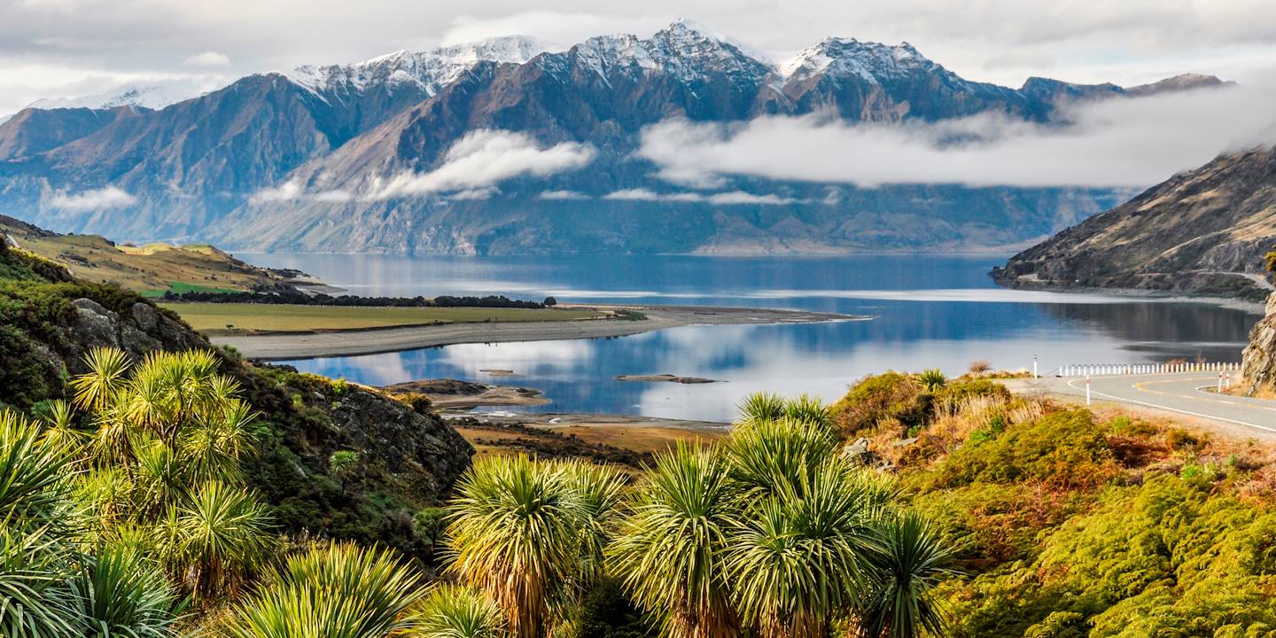 Back to Basics in New Zealand