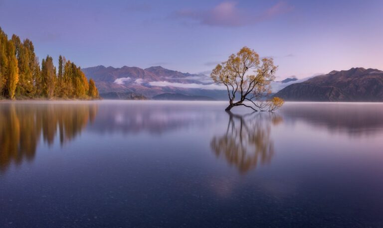 Voyage en musique: Wanaka Tree, l'arbre le plus célèbre de Nouvelle-Zélande - lake wanaka 01
