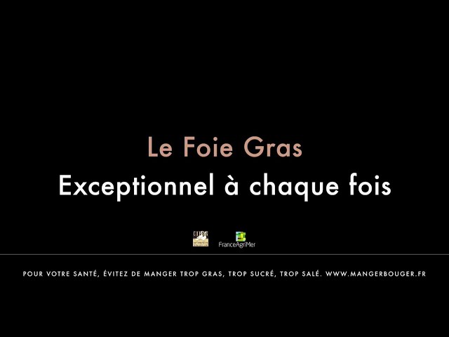 Musique de Pub Le Foie Gras - Noël novembre 2020 - Datsit - Production Music - le foie gras noel