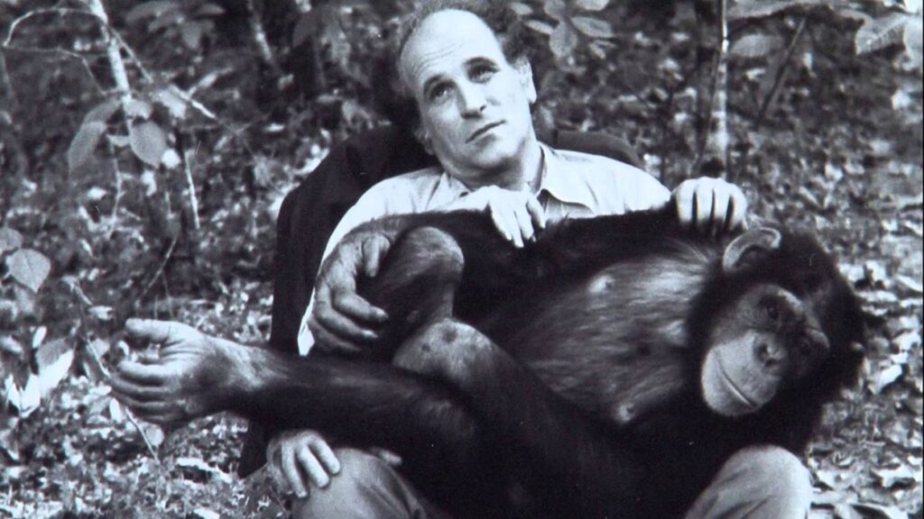 Léo Ferré avait une fille adoptive : son chimpanzé Pépée. - leo ferre