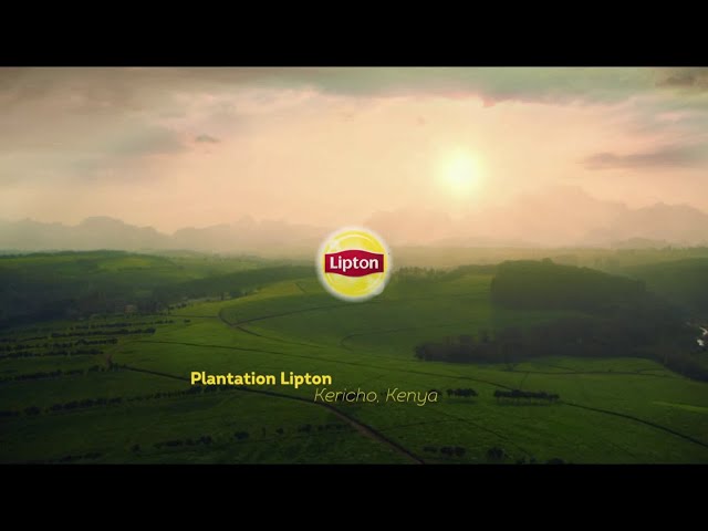 Pub Lipton 2019 - lipton