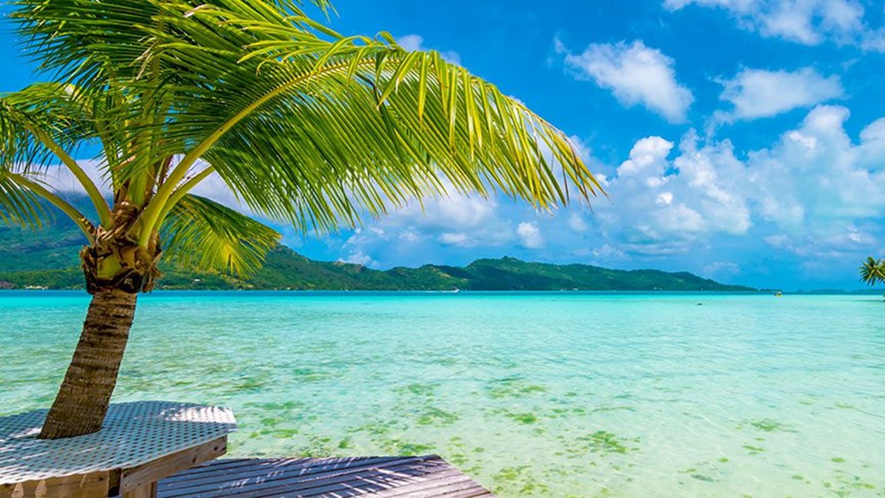 Une minute de vrai bonheur. On vous emmène au paradis... - mer