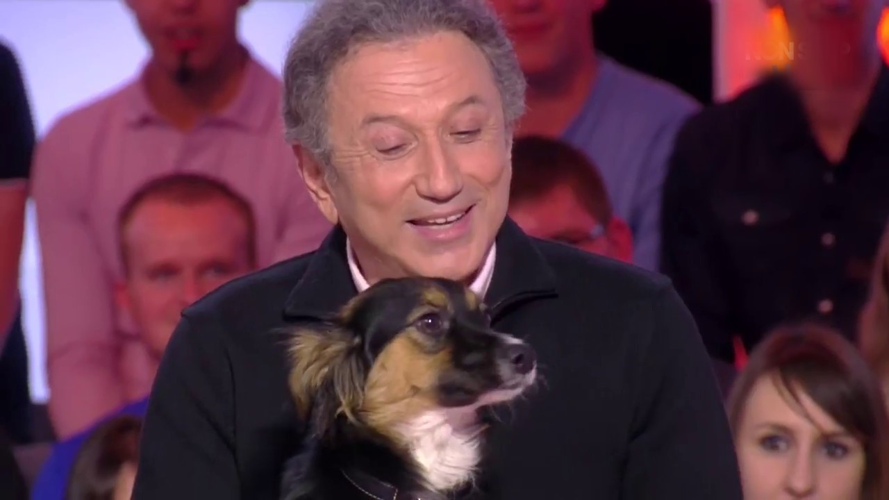 Michel Drucker : Pourquoi sa chienne Izia n&rsquo;est plus sur le plateau ? Explications du maître…