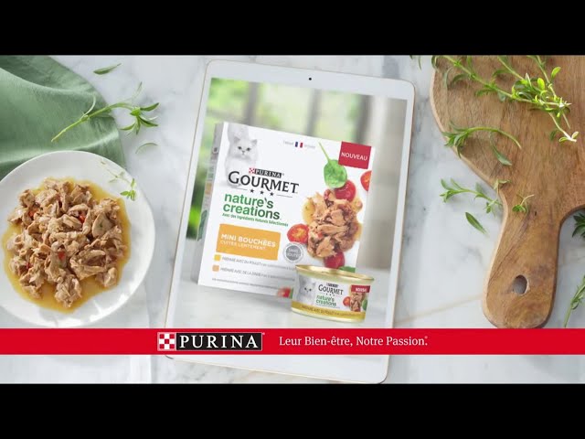 Pub Mini bouchées Nature's creations Gourmet Purina 2020 - mini bouchees natures creations gourmet purina
