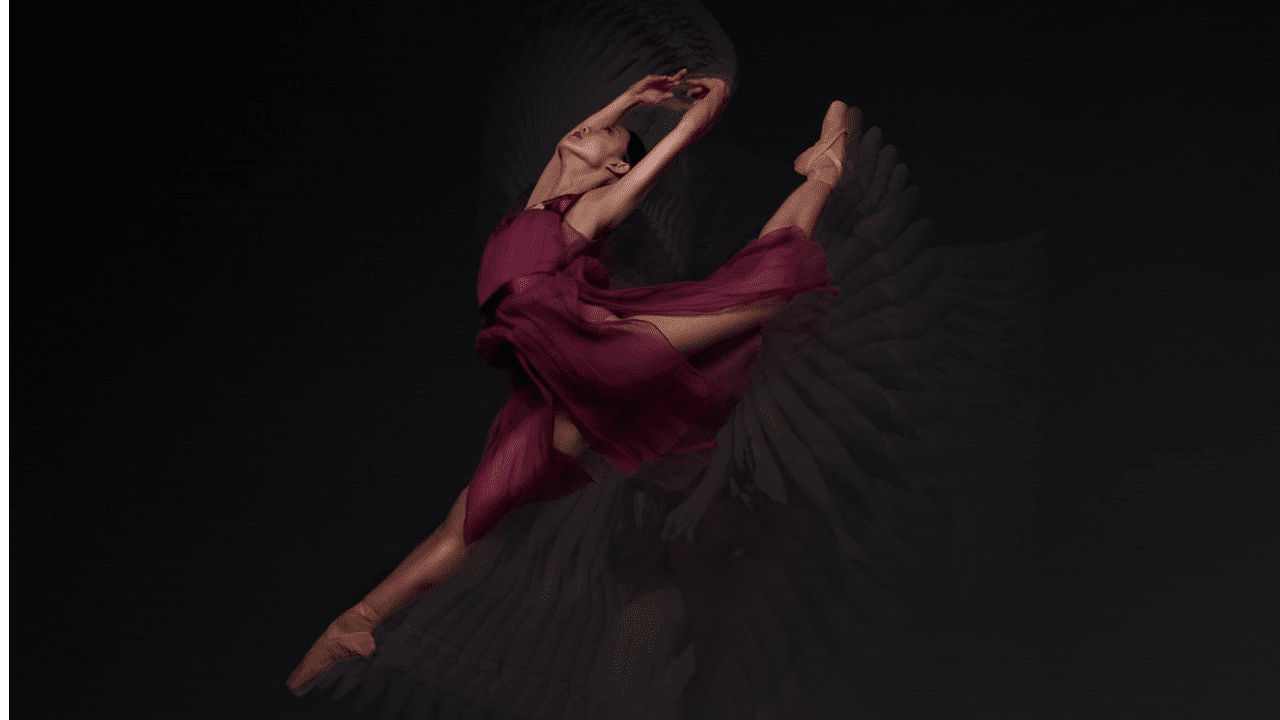 Avec sa caméra, Niv Novak crée un ballet exceptionnel…