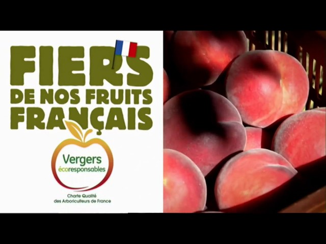 Pub pêches et nectarines de France - Vergers écoresponsables juin 2020 - peches et nectarines de france vergers ecoresponsables