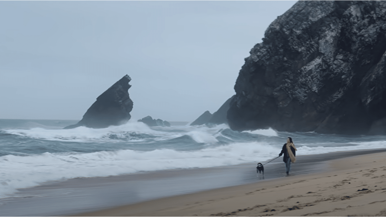 Pub Petit Navire « La mer ». Qui chante ?