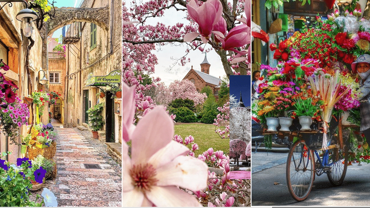 Redécouvrons notre monde – Musique « It Starts With Patience » GaryVee.