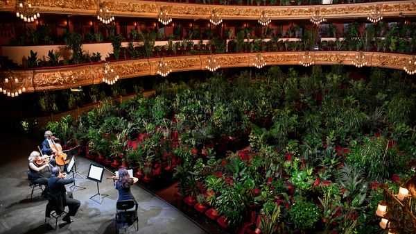 Réouverture de l'opéra de Barcelone devant 2200 plantes - plantes