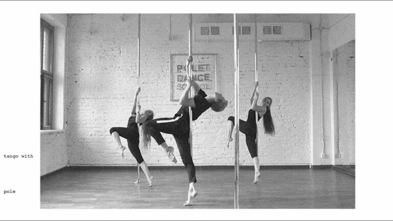 Pole Dance : La force de la gym, le charme de la danse. - pole dance 3