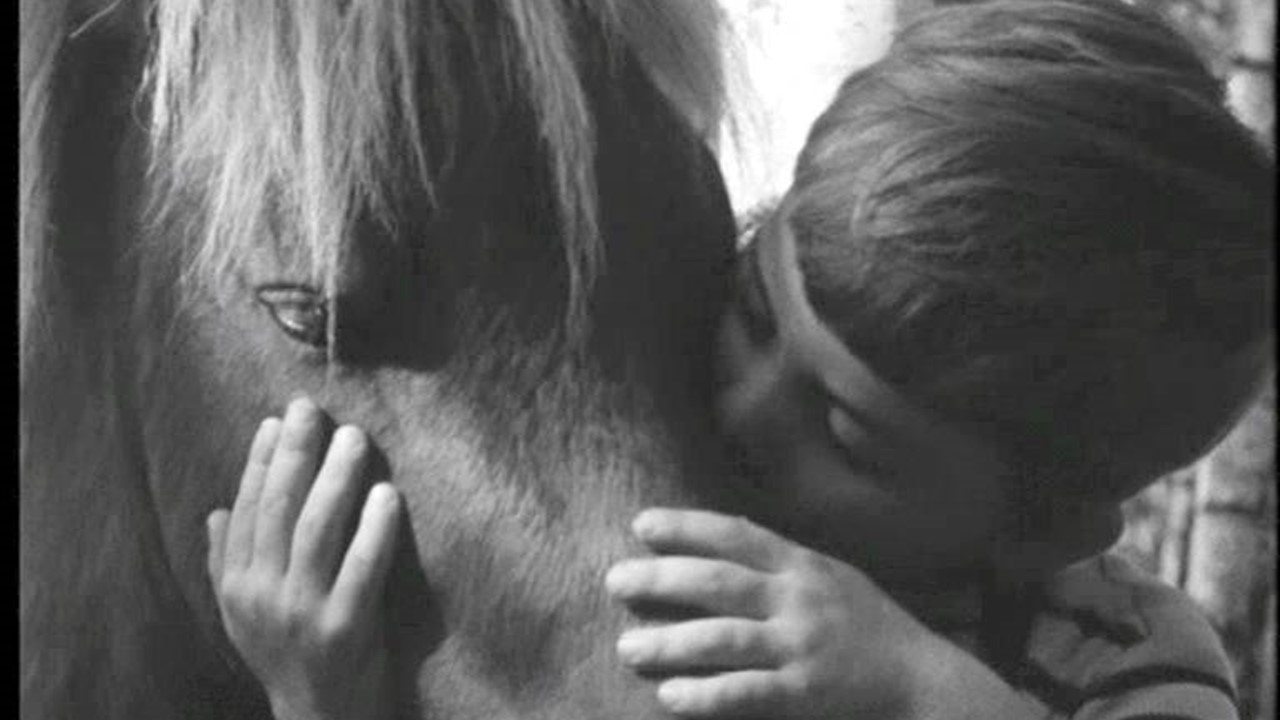 Souvenirs : Générique de la série « Poly » avec Medhi chanté par Isabelle Aubret