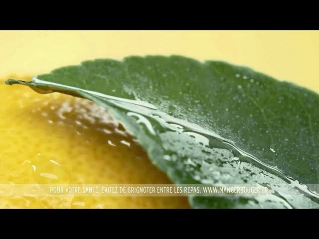 Pub Pulco Citron juillet 2020 - pulco citron